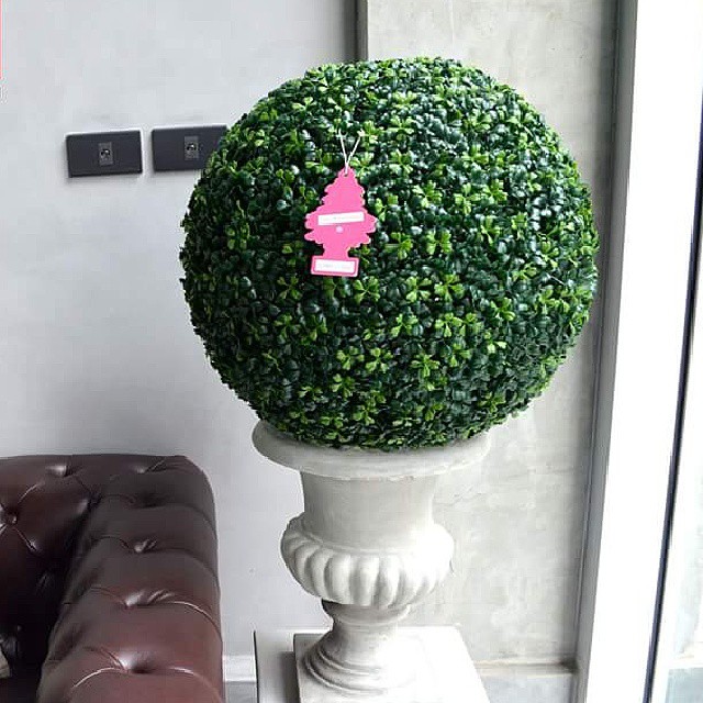 Ароматизатор в машину и для дома Little Trees Watermelon Ароматизатор в машину и для дома Little Trees Watermelon