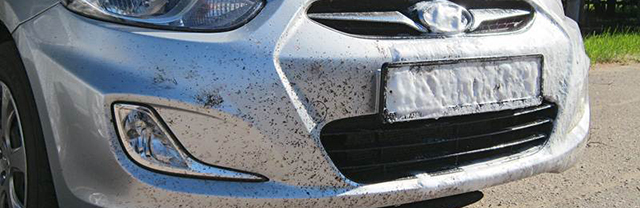 MOTIP CAR CARE Очиститель следов насекомых